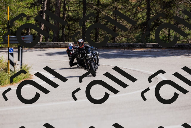 202509061428-_04A6980_c3