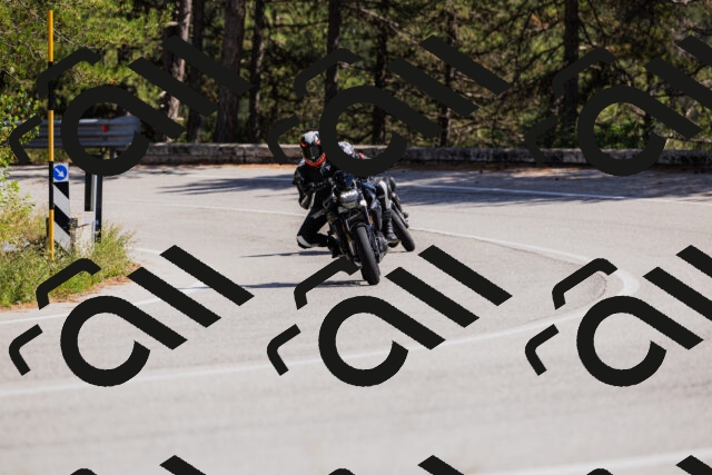 202509061428-_04A6981_c3