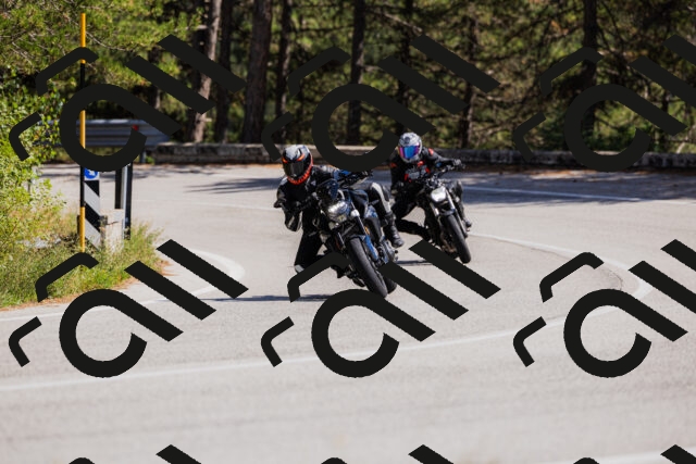 202509061428-_04A6982_c3