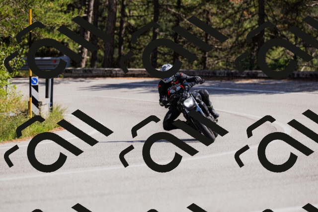 202509061428-_04A6983_c3