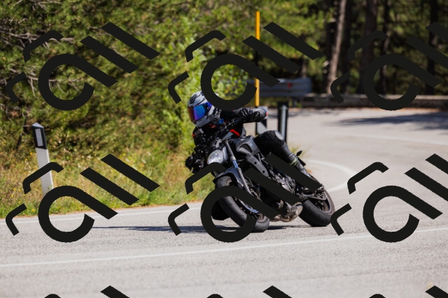 202509061428-_04A6985_c3