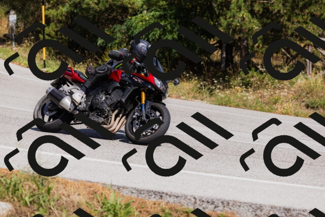 202509061429-_04A6990_c3