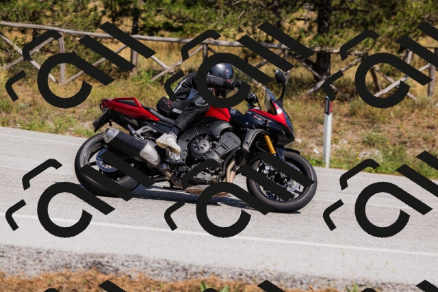 202509061429-_04A6991_c3