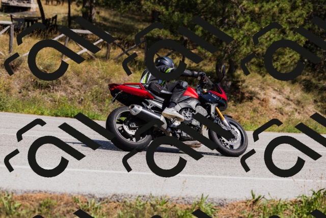 202509061429-_04A6992_c3