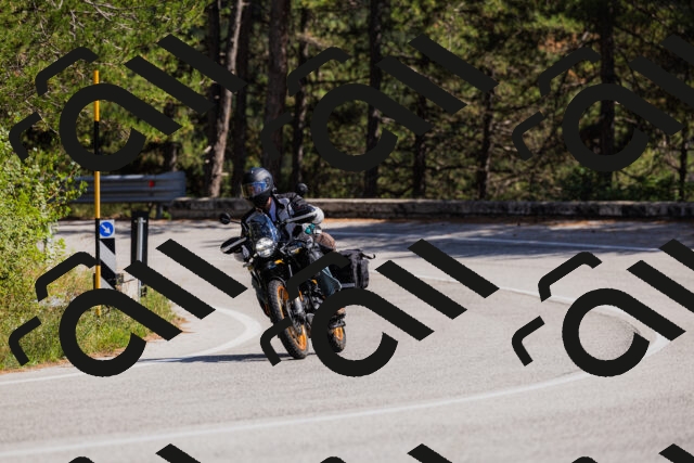 202509061429-_04A6993_c3