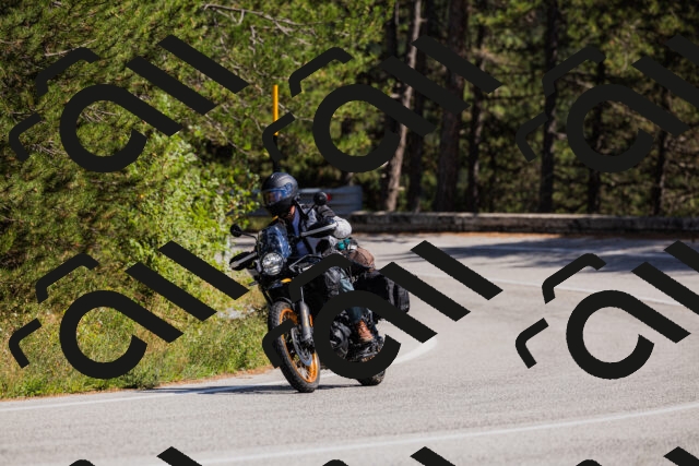 202509061429-_04A6994_c3