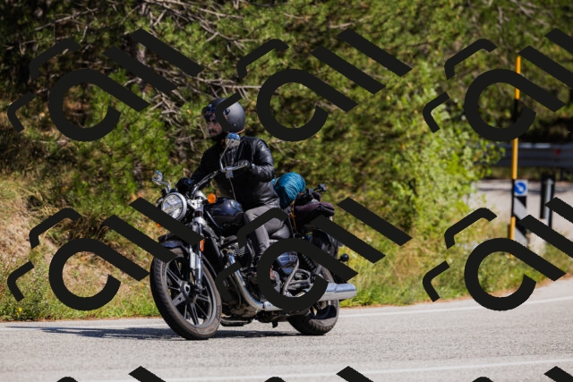 202509061429-_04A7000_c3