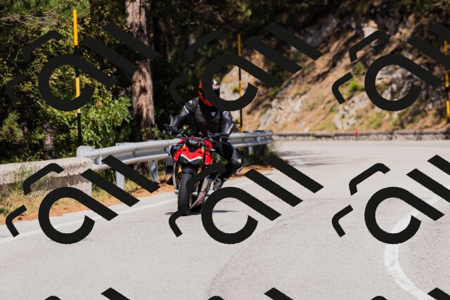 202509061430-_04A7002_c3