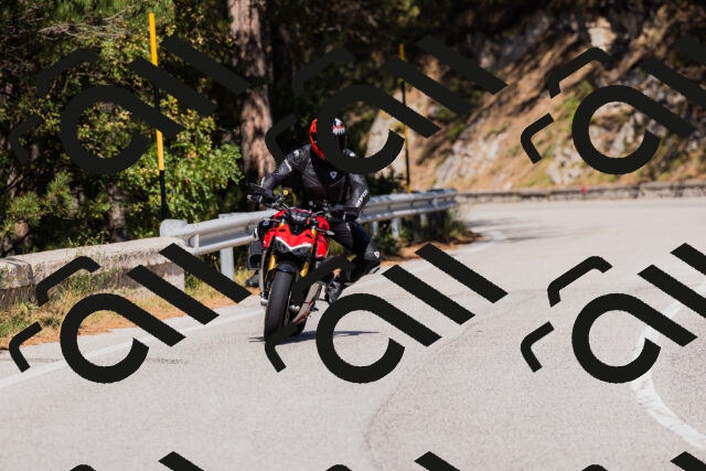 202509061430-_04A7003_c3