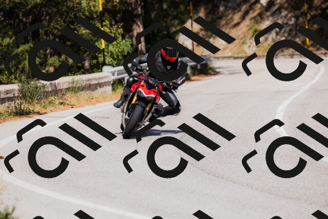 202509061430-_04A7004_c3