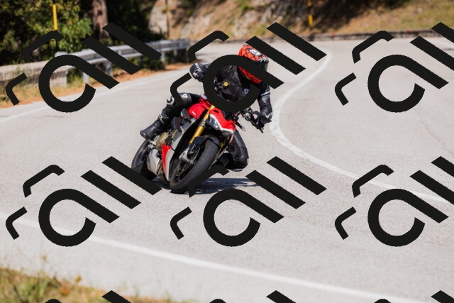 202509061430-_04A7005_c3