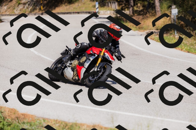 202509061430-_04A7006_c3