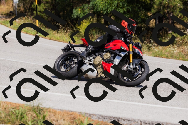 202509061430-_04A7007_c3