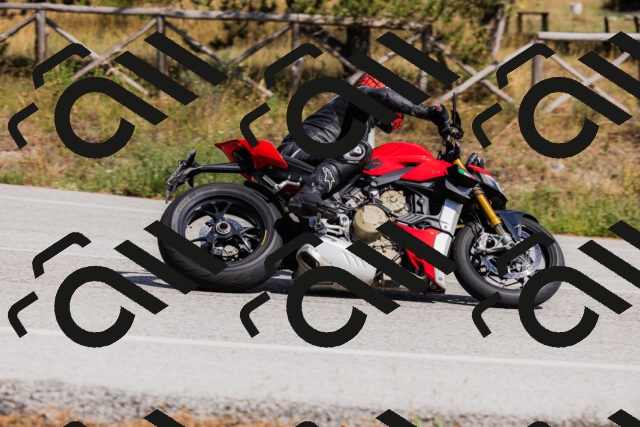 202509061430-_04A7008_c3