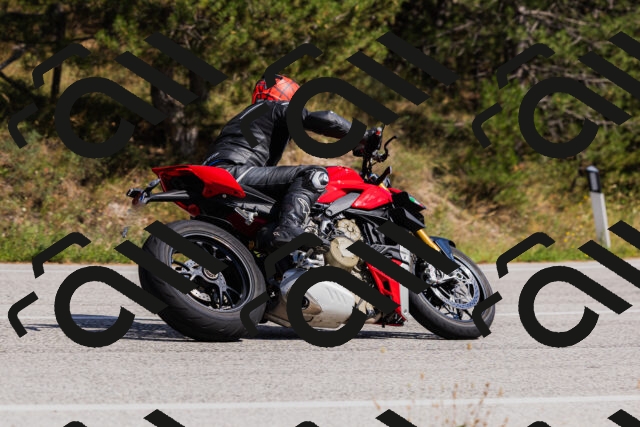 202509061430-_04A7009_c3