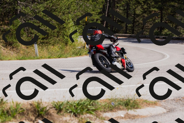 202509061430-_04A7010_c3