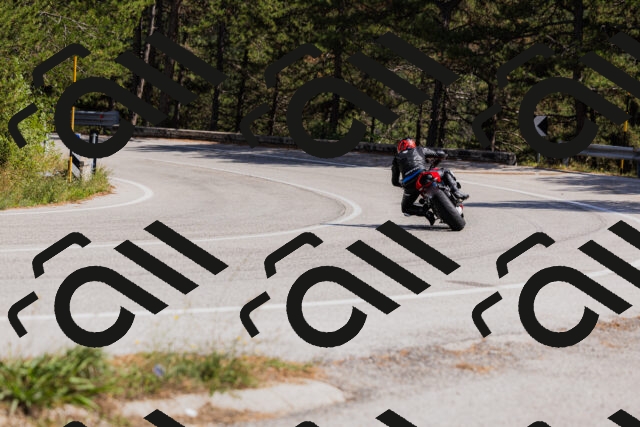 202509061430-_04A7012_c3