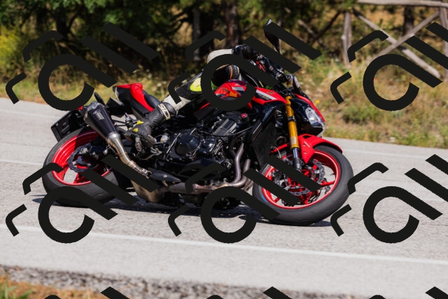 202509061432-_04A7033_c3