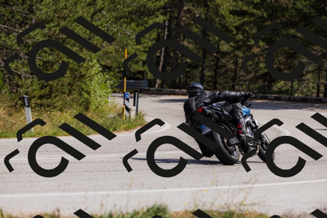 202509061432-_04A7036_c3