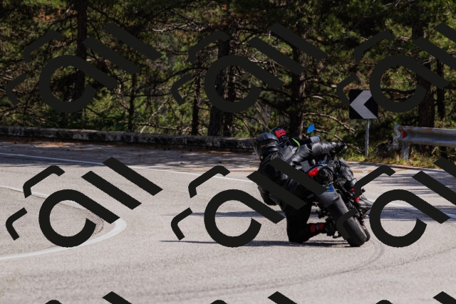 202509061432-_04A7038_c3