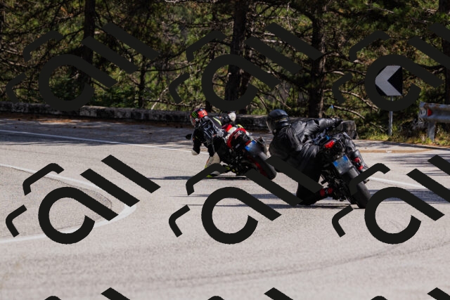 202509061432-_04A7039_c3