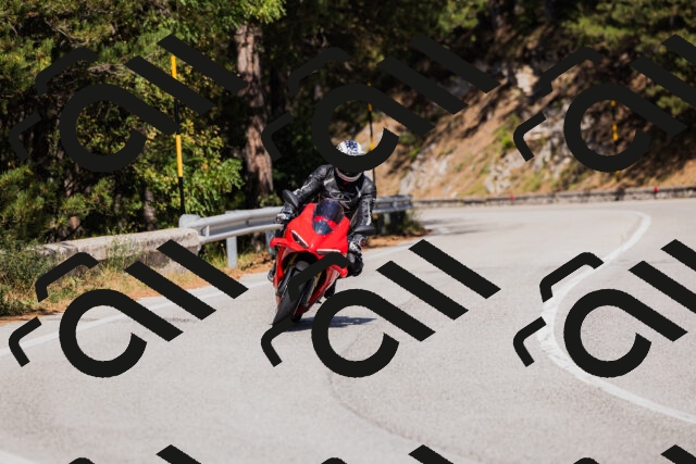 202509061432-_04A7041_c3