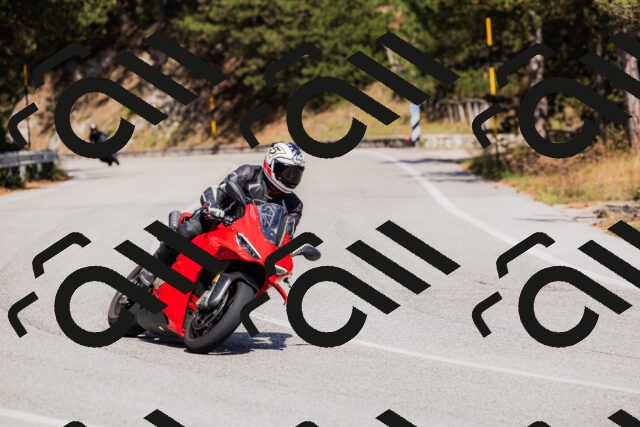 202509061432-_04A7043_c3