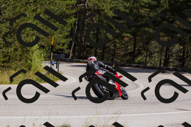 202509061432-_04A7048_c3