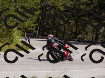 202509061432-_04A7048_c3