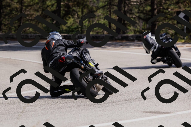 202509061432-_04A7057_c3