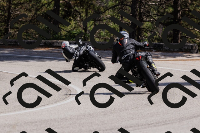 202509061432-_04A7059_c3