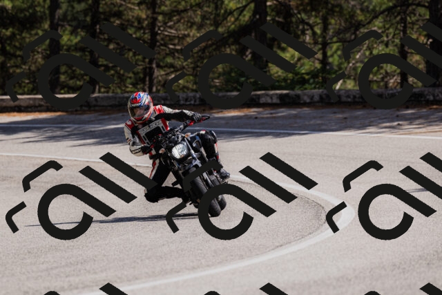 202509061433-_04A7061_c3