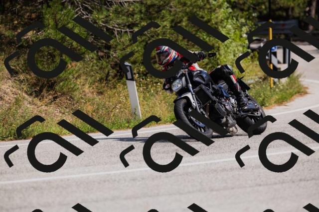 202509061433-_04A7062_c3