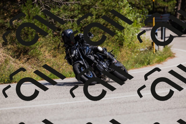 202509061433-_04A7065_c3