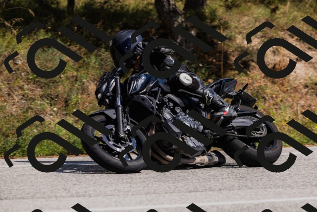 202509061433-_04A7066_c3