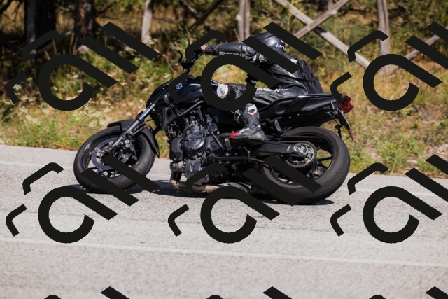 202509061433-_04A7068_c3