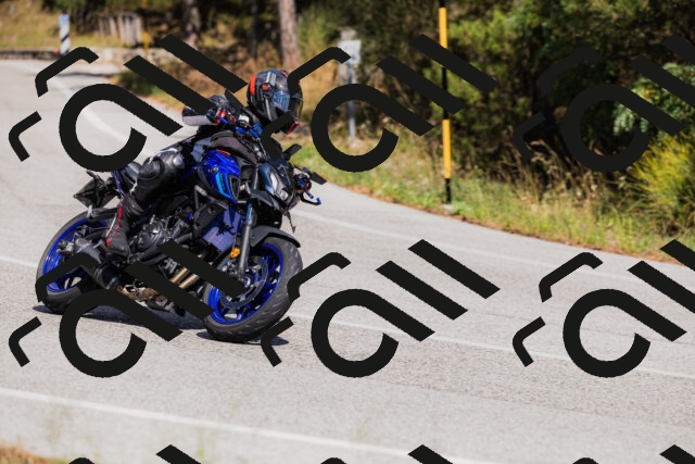 202509061433-_04A7071_c3