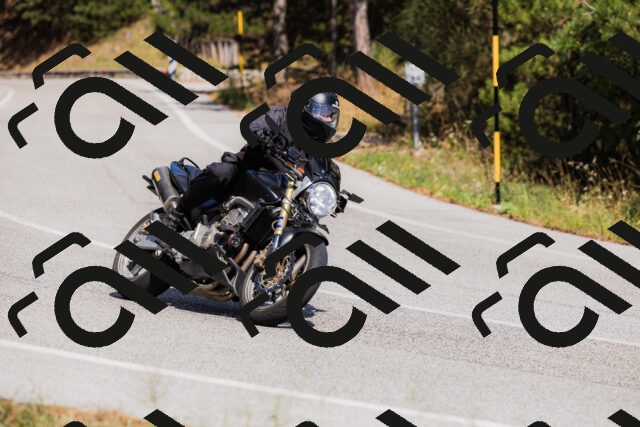 202509061434-_04A7077_c3