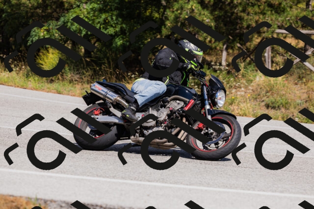 202509061434-_04A7079_c3