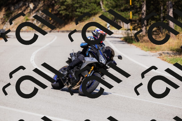 202509061434-_04A7081_c3