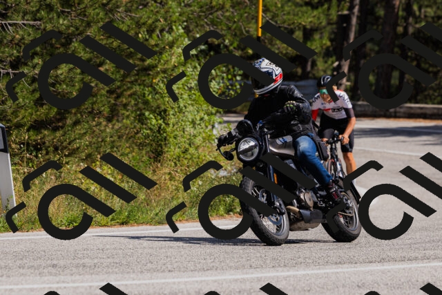 202509061434-_04A7086_c3