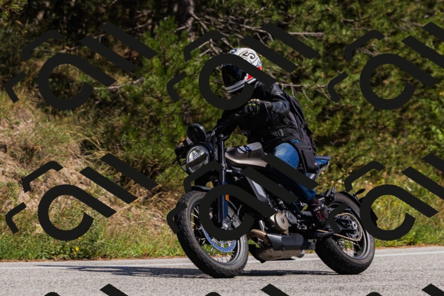 202509061434-_04A7087_c3