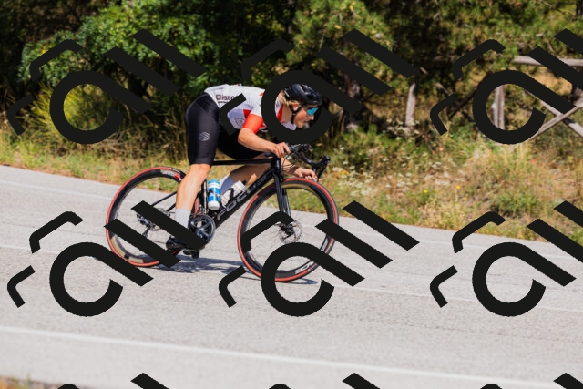 202509061435-_04A7102_c3