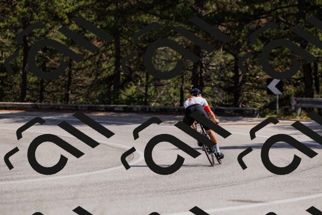 202509061435-_04A7108_c3