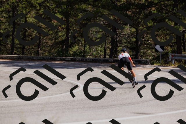 202509061435-_04A7109_c3