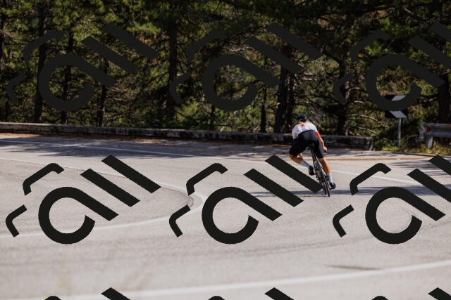 202509061435-_04A7110_c3