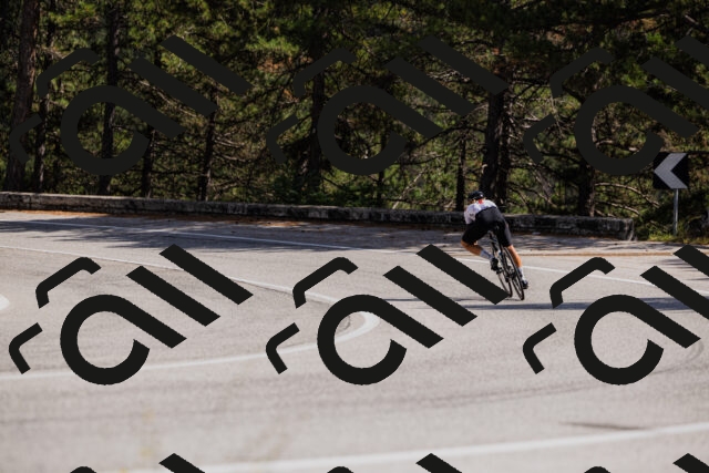 202509061435-_04A7111_c3