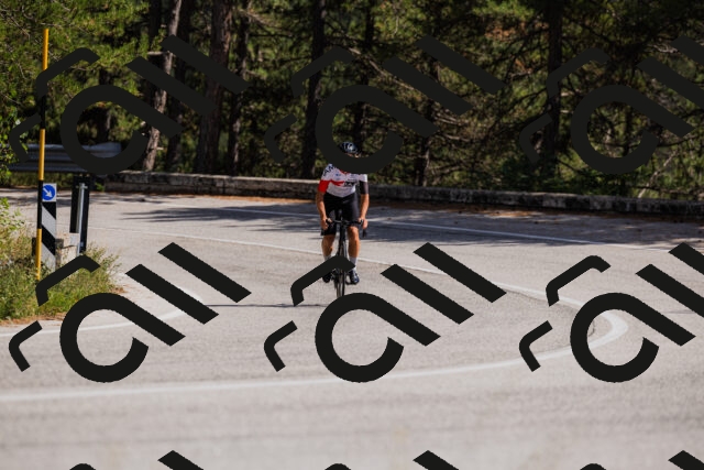 202509061436-_04A7113_c3