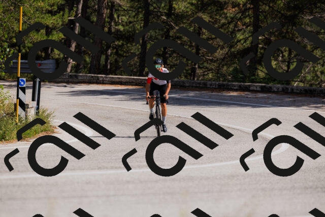 202509061436-_04A7114_c3