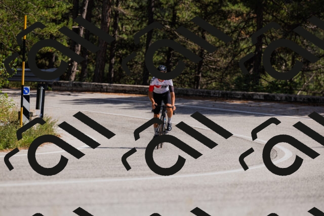 202509061436-_04A7115_c3